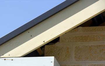 Trottiscliffe fascia repairs